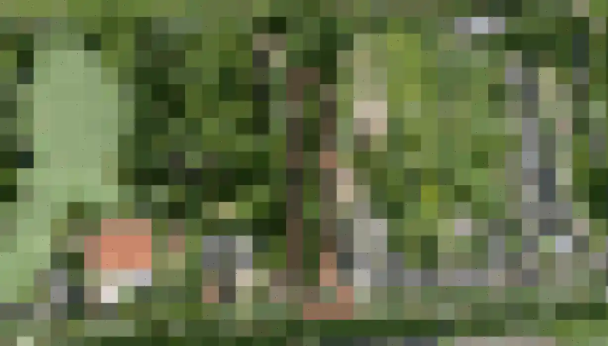 't Vaartje 52 Waspik foto 2