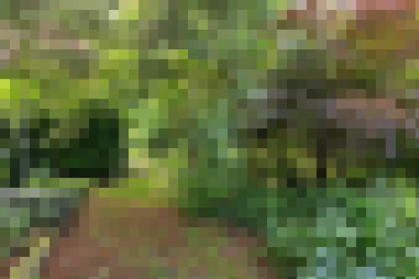 't Vaartje 52 Waspik thumbnail 20