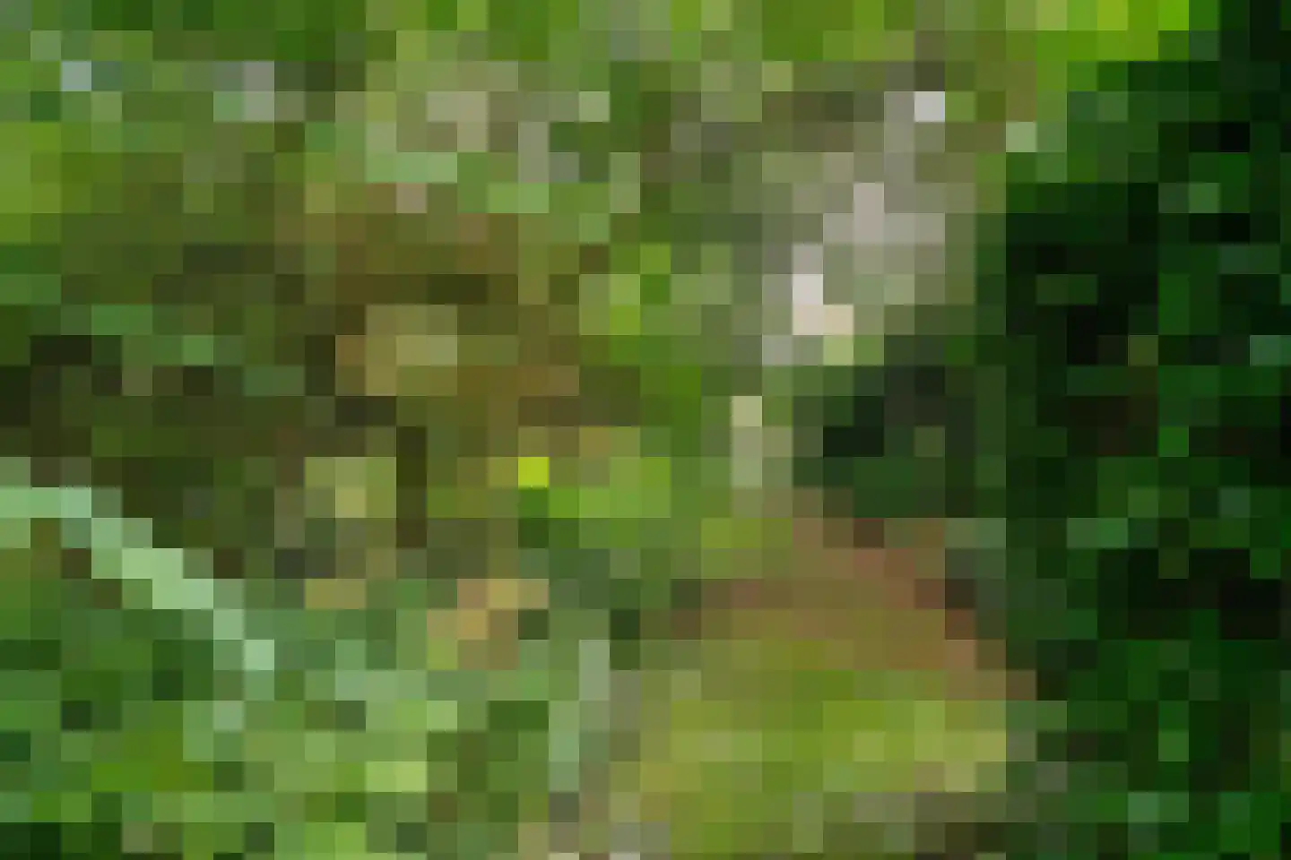 't Vaartje 52 Waspik thumbnail 21