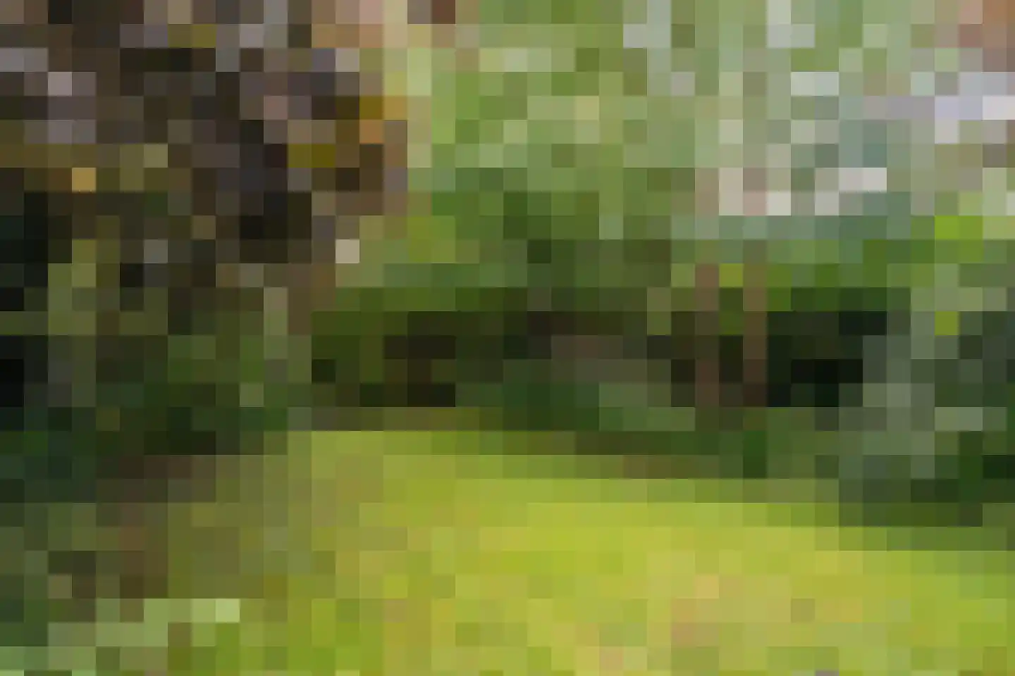't Vaartje 52 Waspik thumbnail 22