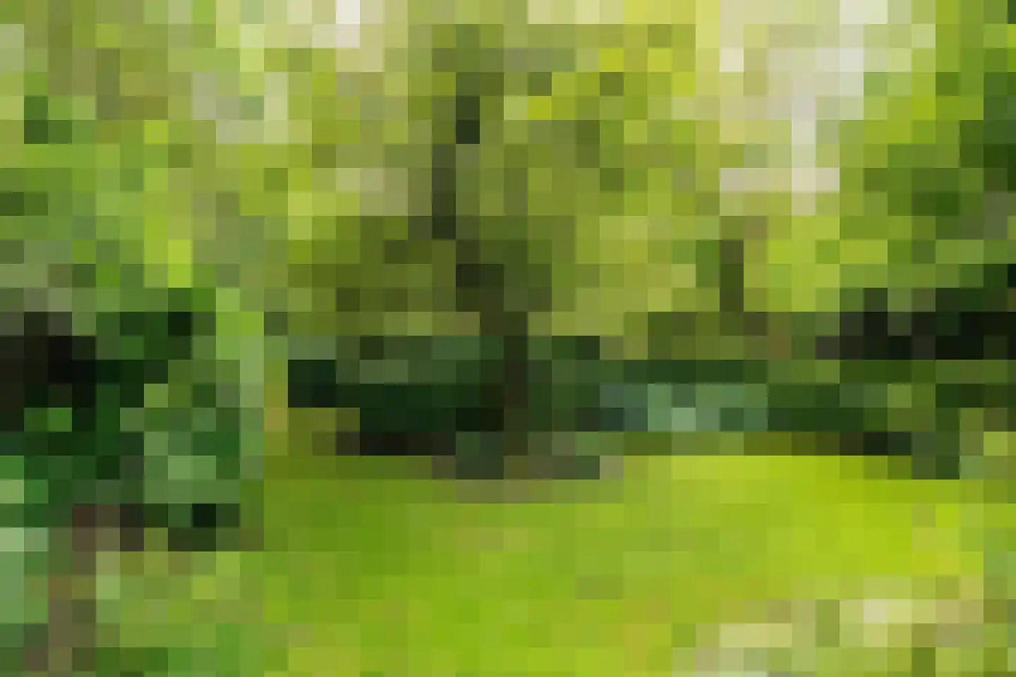 't Vaartje 52 Waspik thumbnail 23