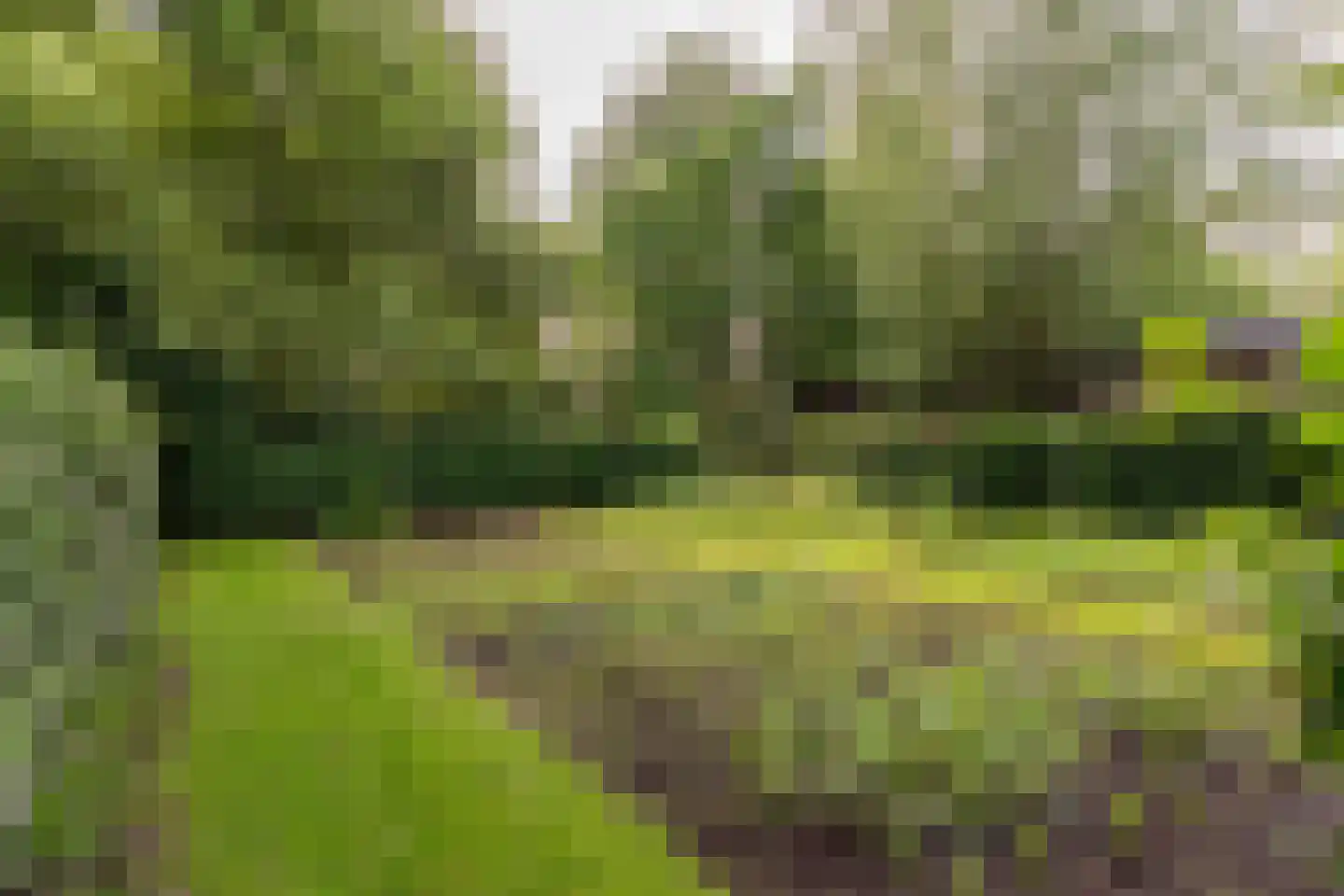 't Vaartje 52 Waspik thumbnail 24