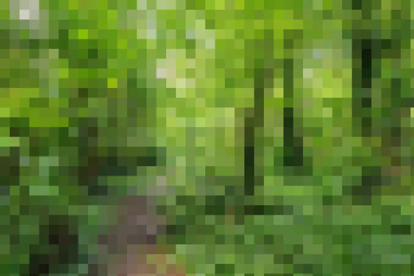 't Vaartje 52 Waspik thumbnail 25