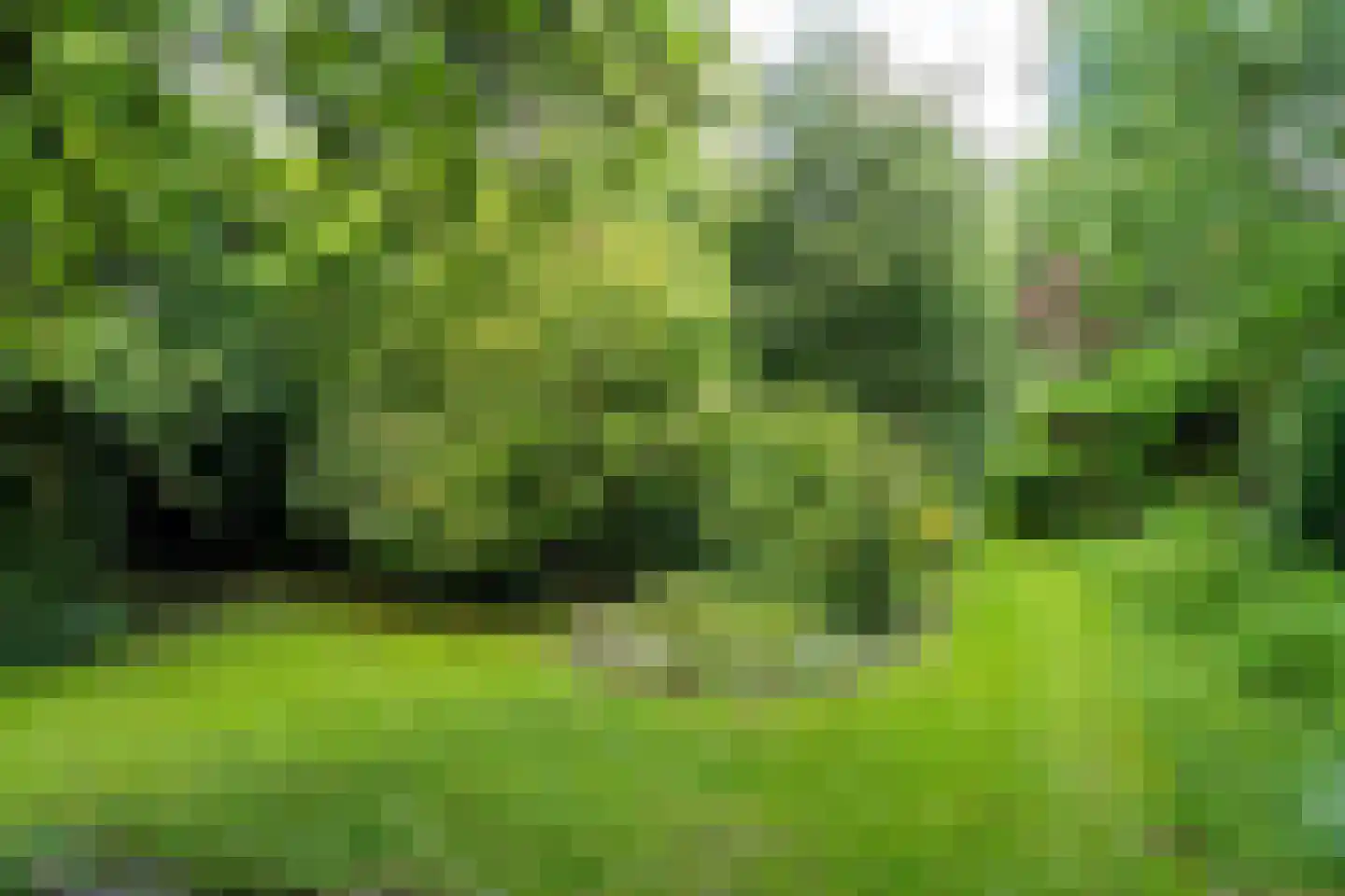 't Vaartje 52 Waspik foto 3