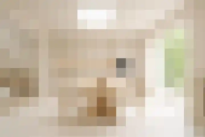 't Vaartje 68 Waspik thumbnail 15