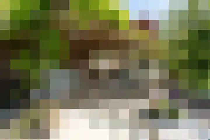 't Vaartje 68 Waspik foto 2