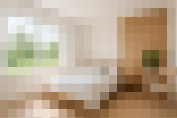 't Vaartje 68 Waspik thumbnail 22