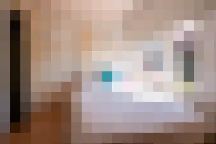 't Vaartje 68 Waspik thumbnail 23