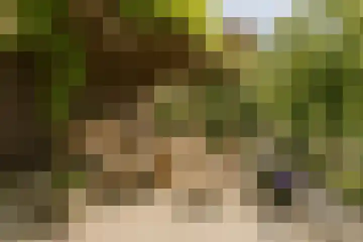 't Vaartje 68 Waspik thumbnail 29