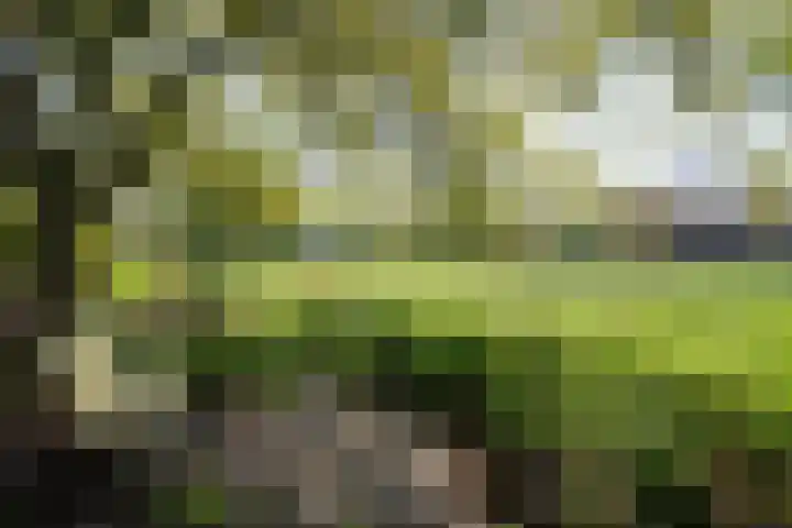 't Vaartje 68 Waspik foto 3