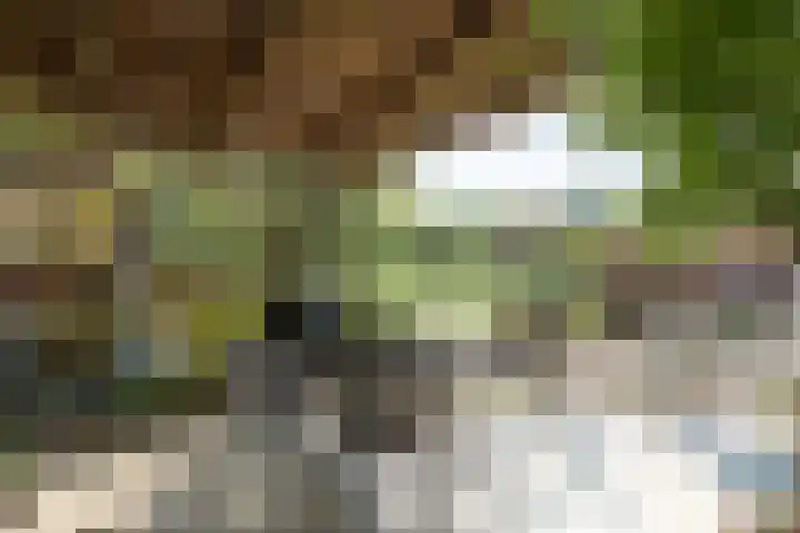 't Vaartje 68 Waspik thumbnail 30