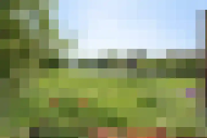 't Vaartje 68 Waspik thumbnail 31