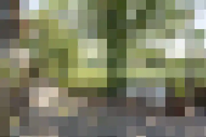 't Vaartje 68 Waspik thumbnail 32
