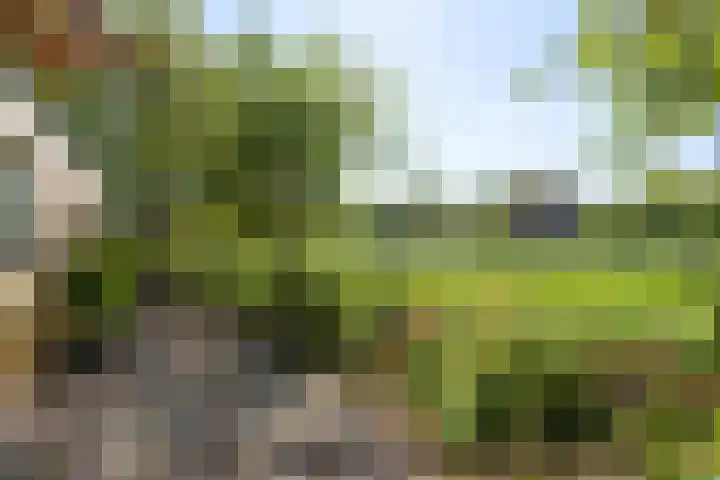 't Vaartje 68 Waspik thumbnail 33