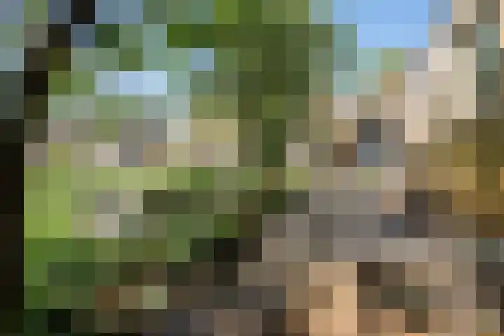 't Vaartje 68 Waspik thumbnail 34