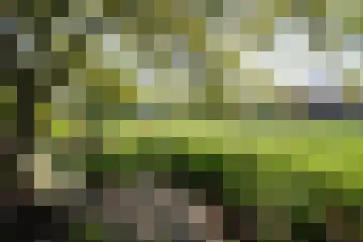 't Vaartje 68 Waspik thumbnail 35