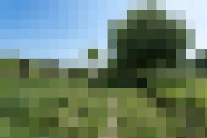't Vaartje 68 Waspik thumbnail 36