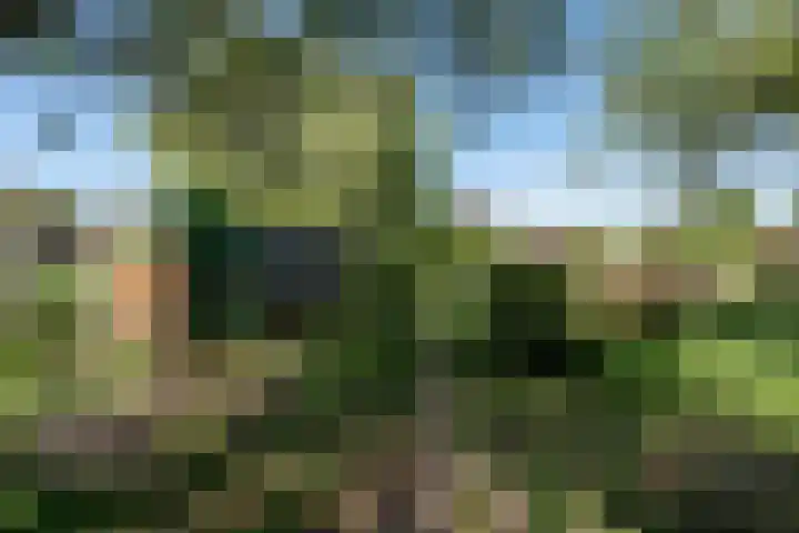 't Vaartje 68 Waspik thumbnail 37