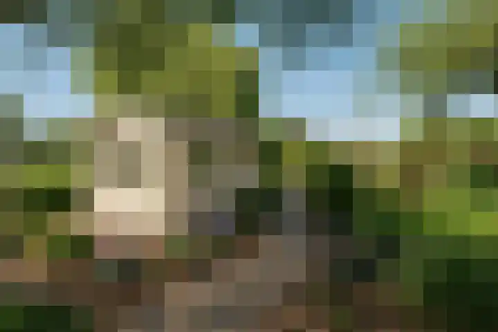 't Vaartje 68 Waspik thumbnail 38