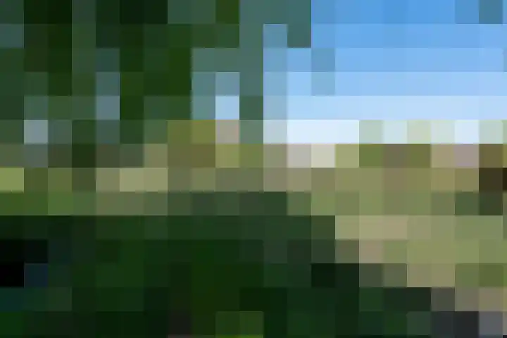 't Vaartje 68 Waspik thumbnail 39