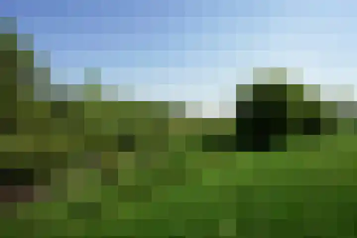 't Vaartje 68 Waspik thumbnail 40