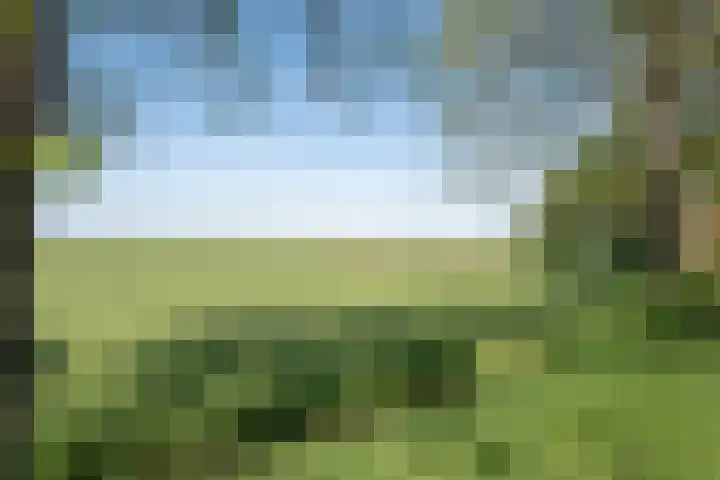 't Vaartje 68 Waspik thumbnail 41