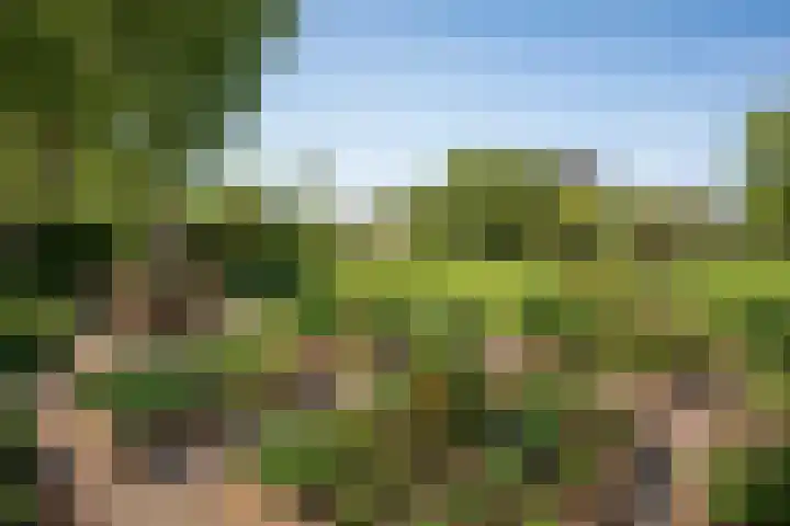't Vaartje 68 Waspik thumbnail 42