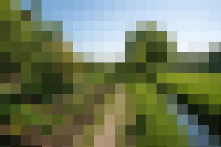 't Vaartje 68 Waspik thumbnail 43