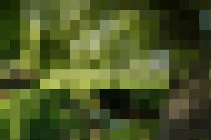 't Vaartje 68 Waspik thumbnail 44