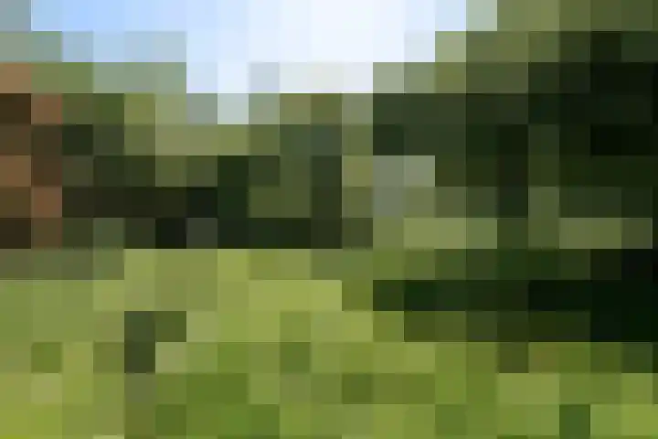 't Vaartje 68 Waspik thumbnail 45