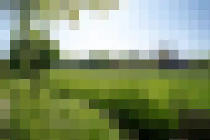't Vaartje 68 Waspik thumbnail 46