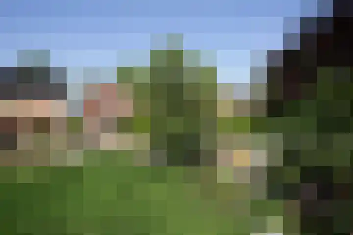 't Vaartje 68 Waspik thumbnail 47