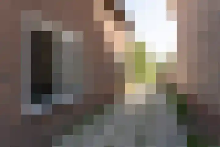 't Vaartje 68 Waspik thumbnail 5