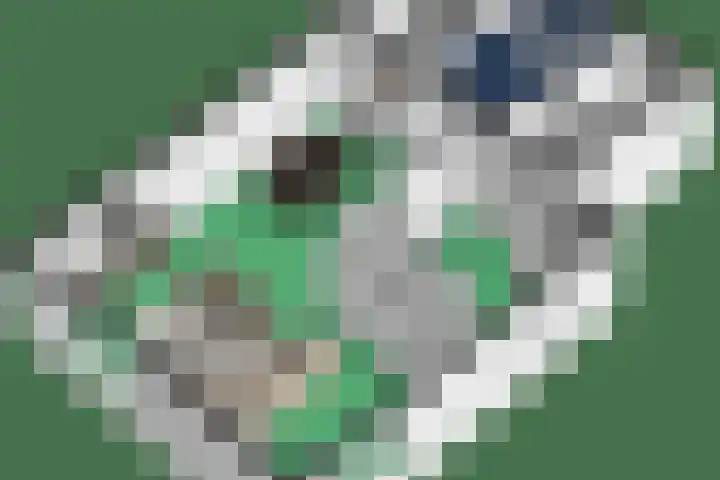 't Vaartje 68 Waspik thumbnail 52