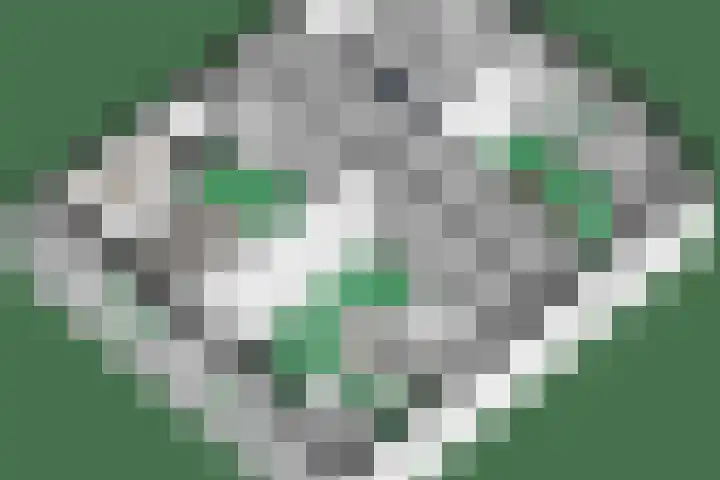 't Vaartje 68 Waspik thumbnail 54