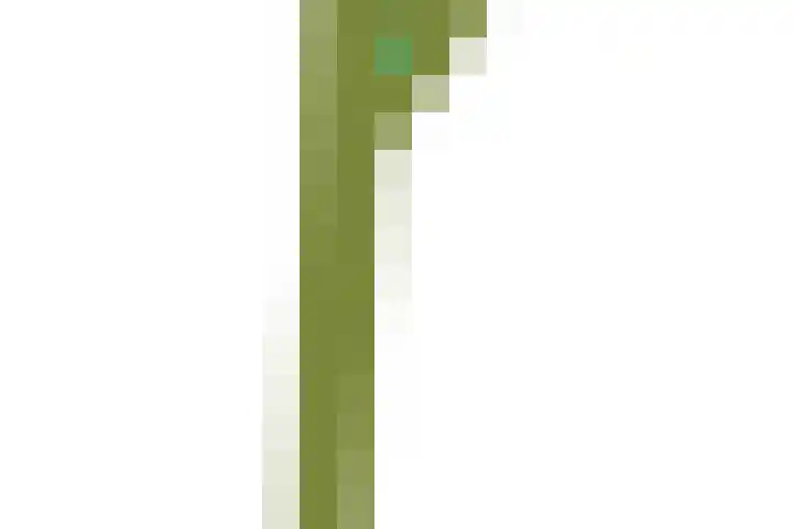 't Vaartje 68 Waspik thumbnail 55