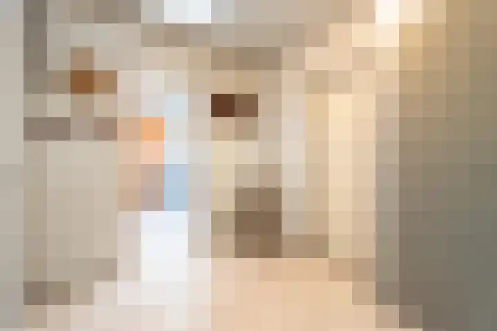 't Vaartje 68 Waspik thumbnail 6