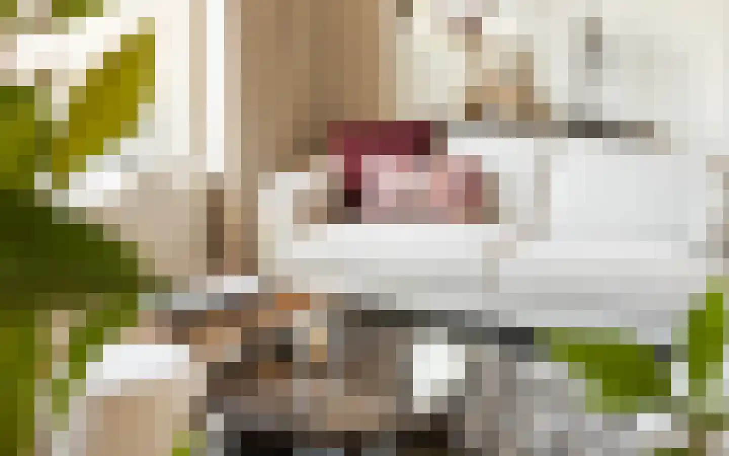 T. van Zwetselaarstraat 1 Barneveld thumbnail 13