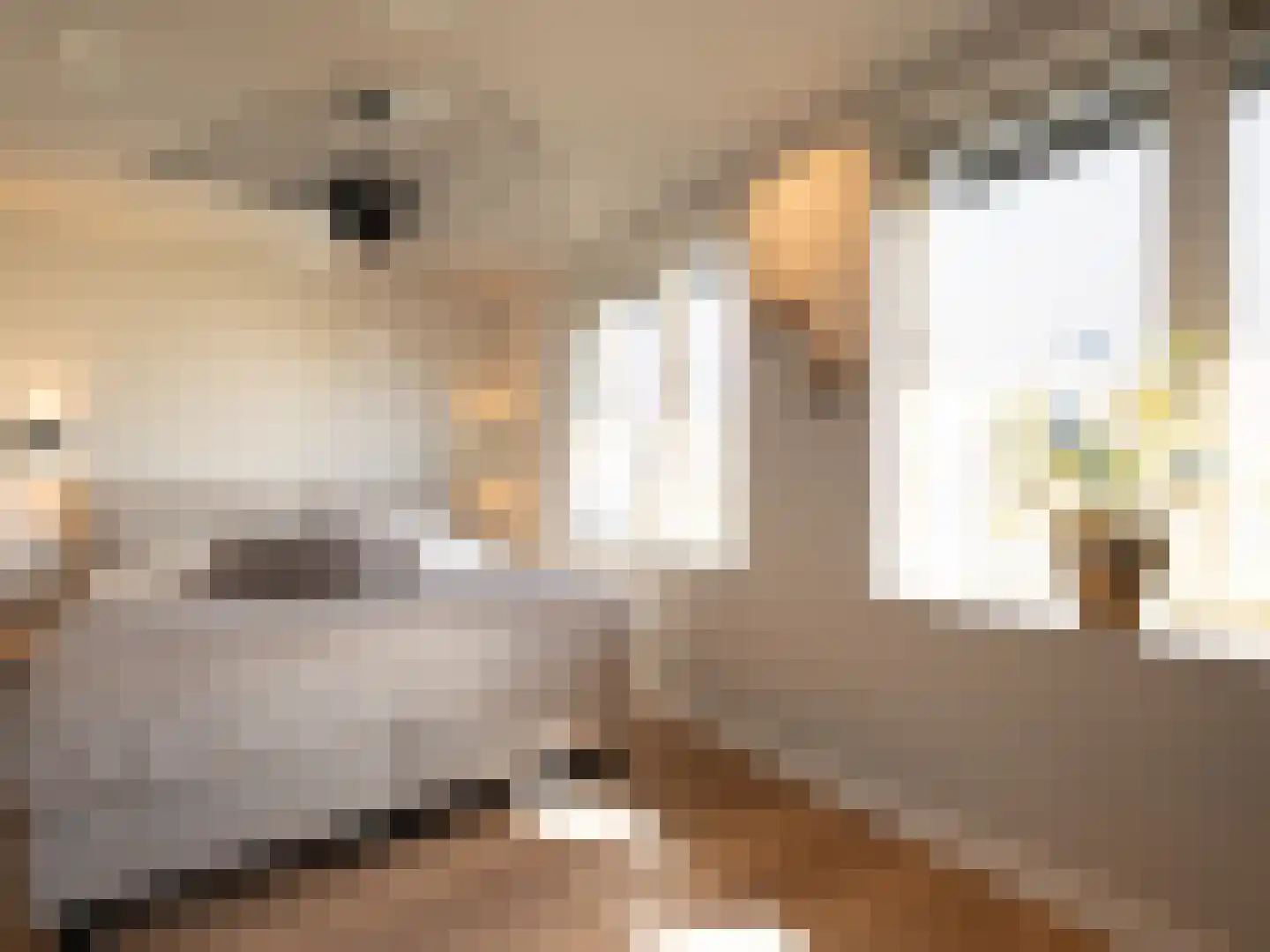 T. van Zwetselaarstraat 1 Barneveld thumbnail 34