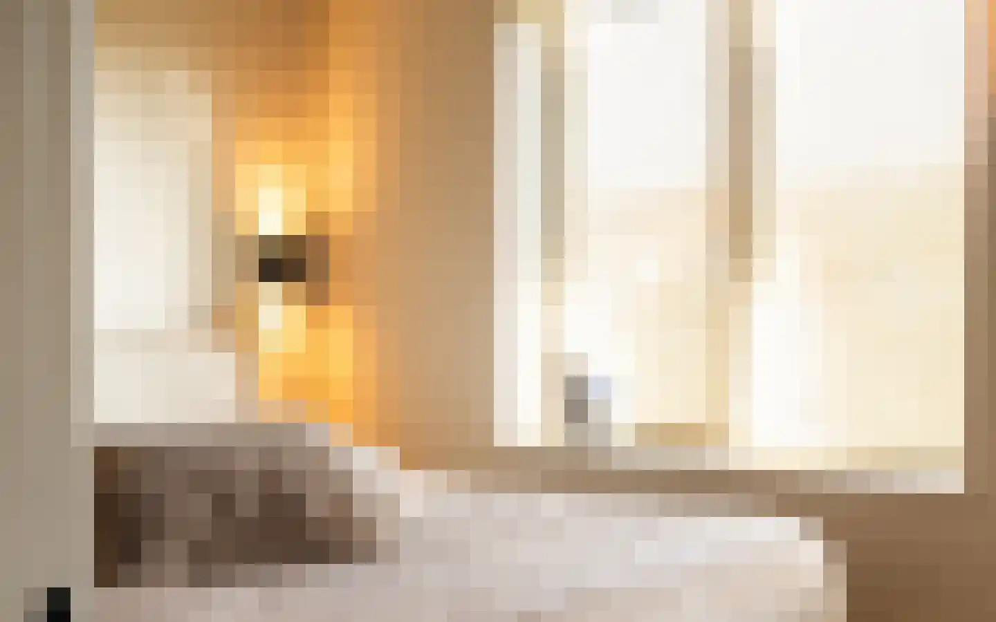 T. van Zwetselaarstraat 1 Barneveld thumbnail 35