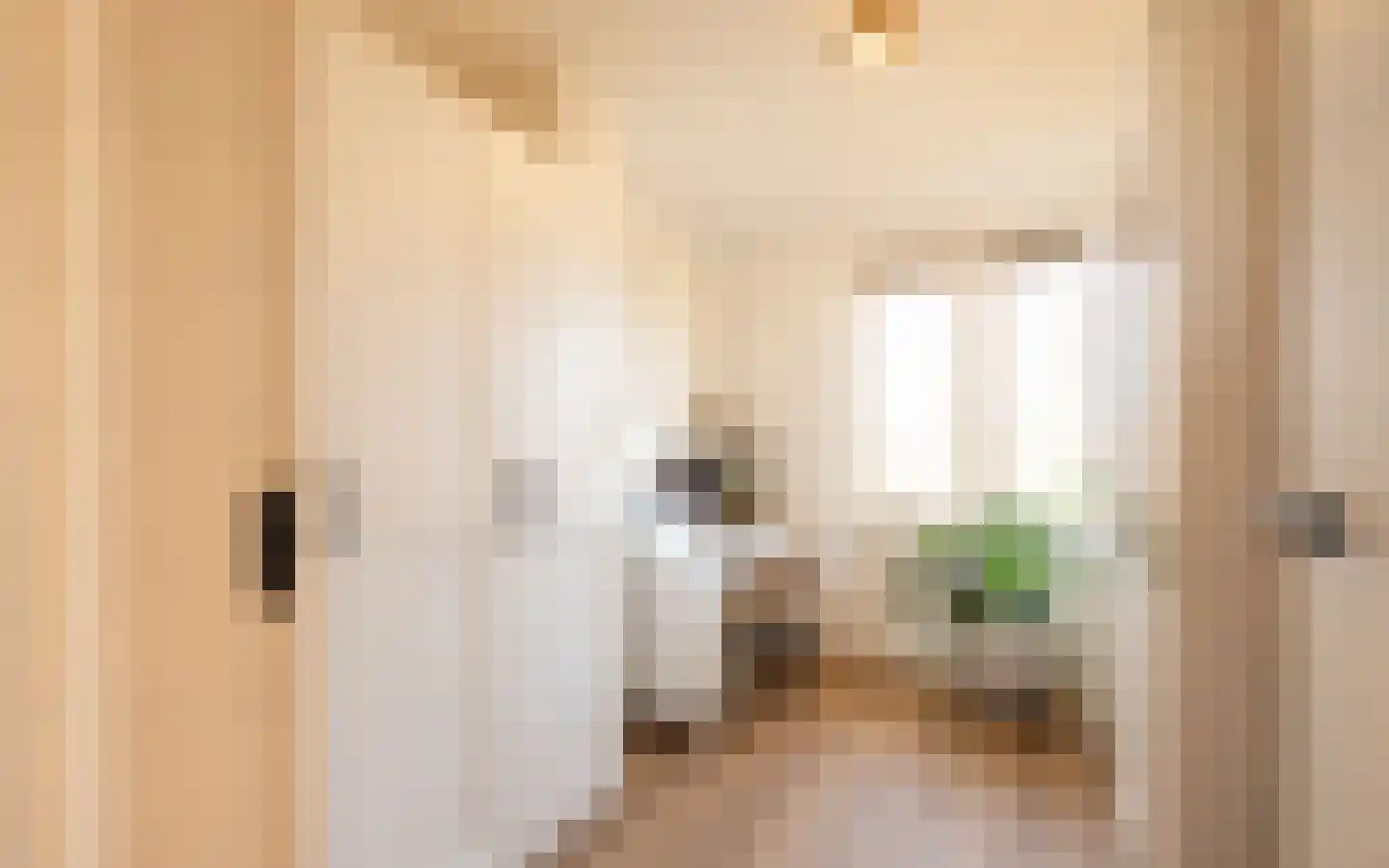 T. van Zwetselaarstraat 1 Barneveld thumbnail 41