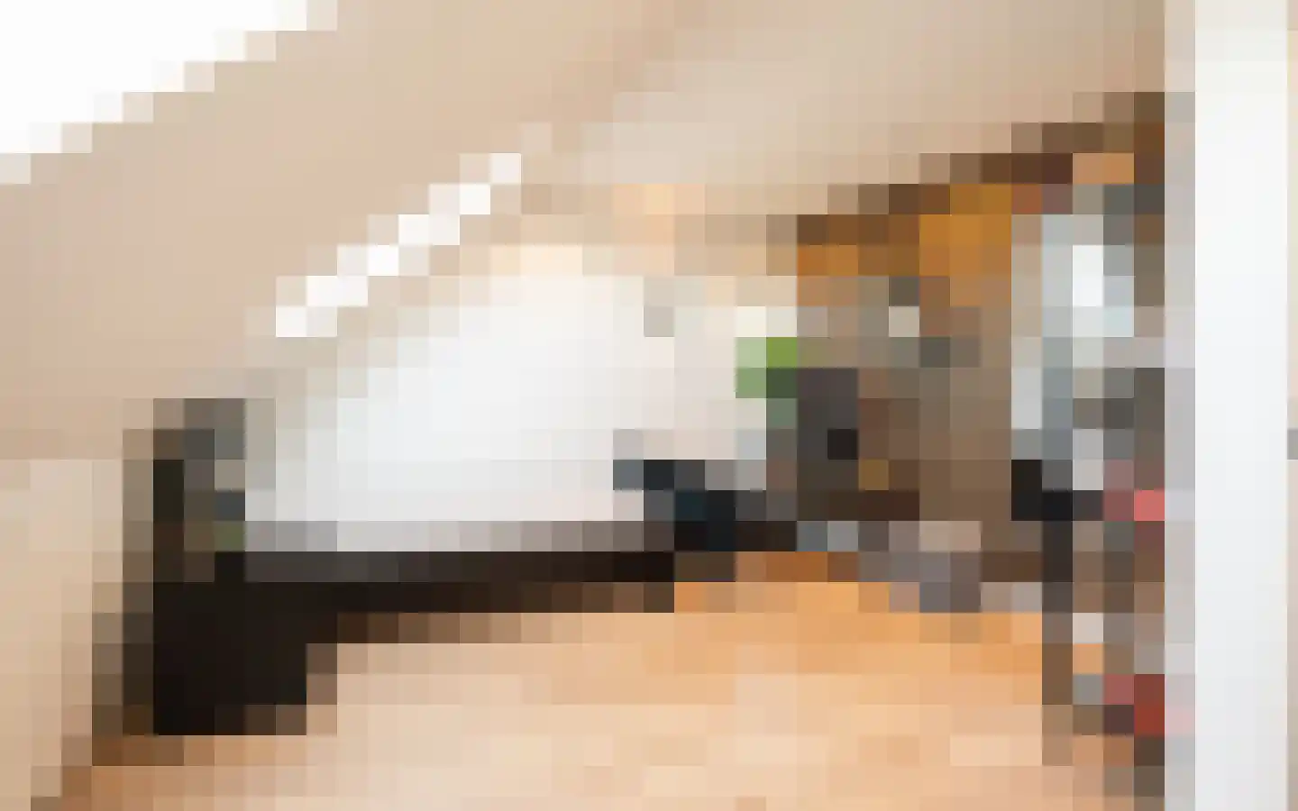 T. van Zwetselaarstraat 1 Barneveld thumbnail 56