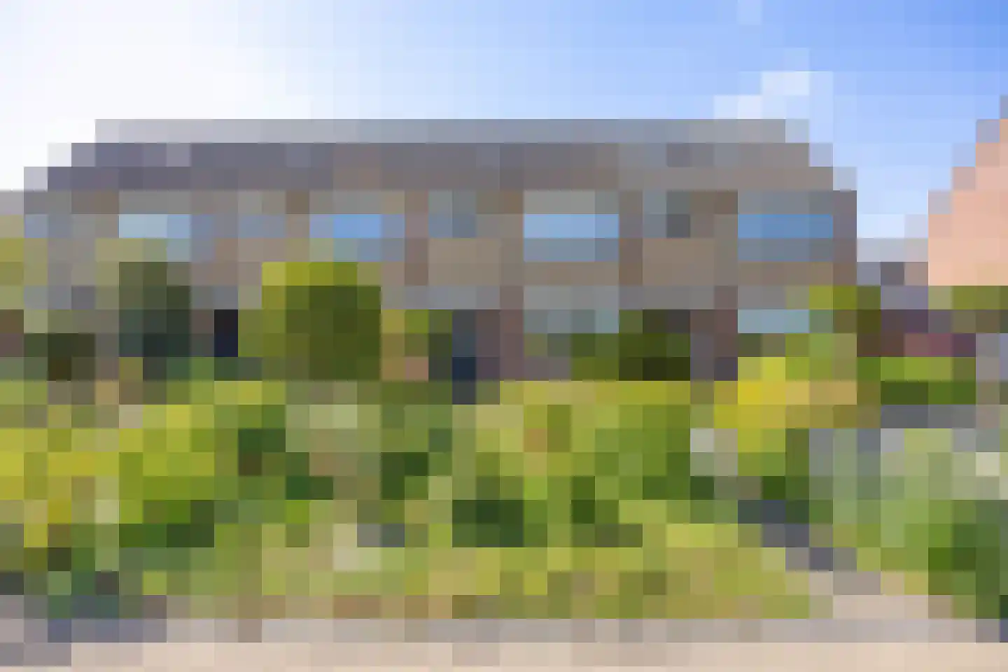 't Veer 14 Leek thumbnail 11