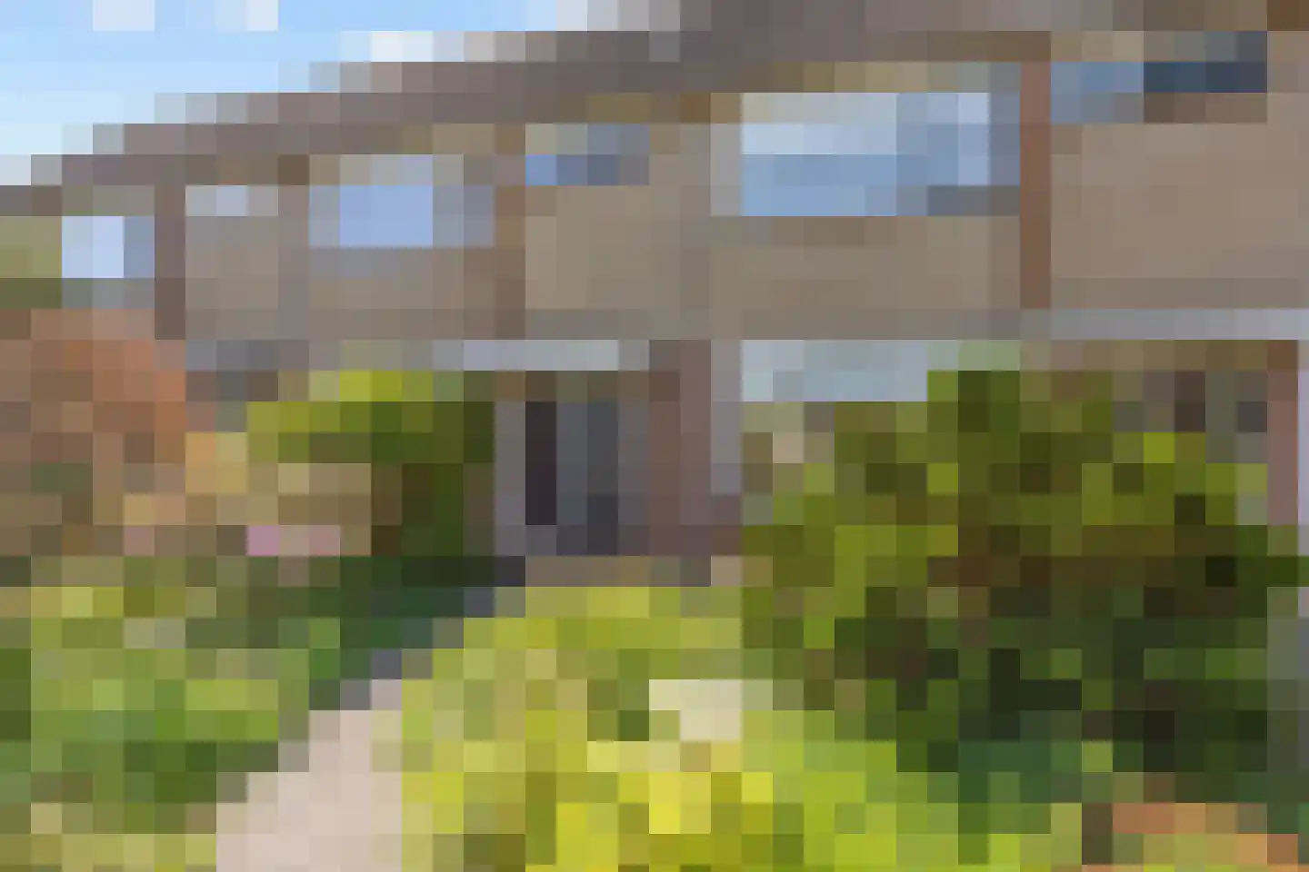 't Veer 14 Leek thumbnail 12