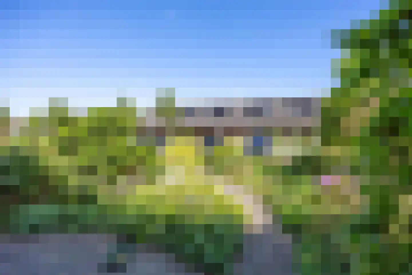 't Veer 14 Leek thumbnail 13