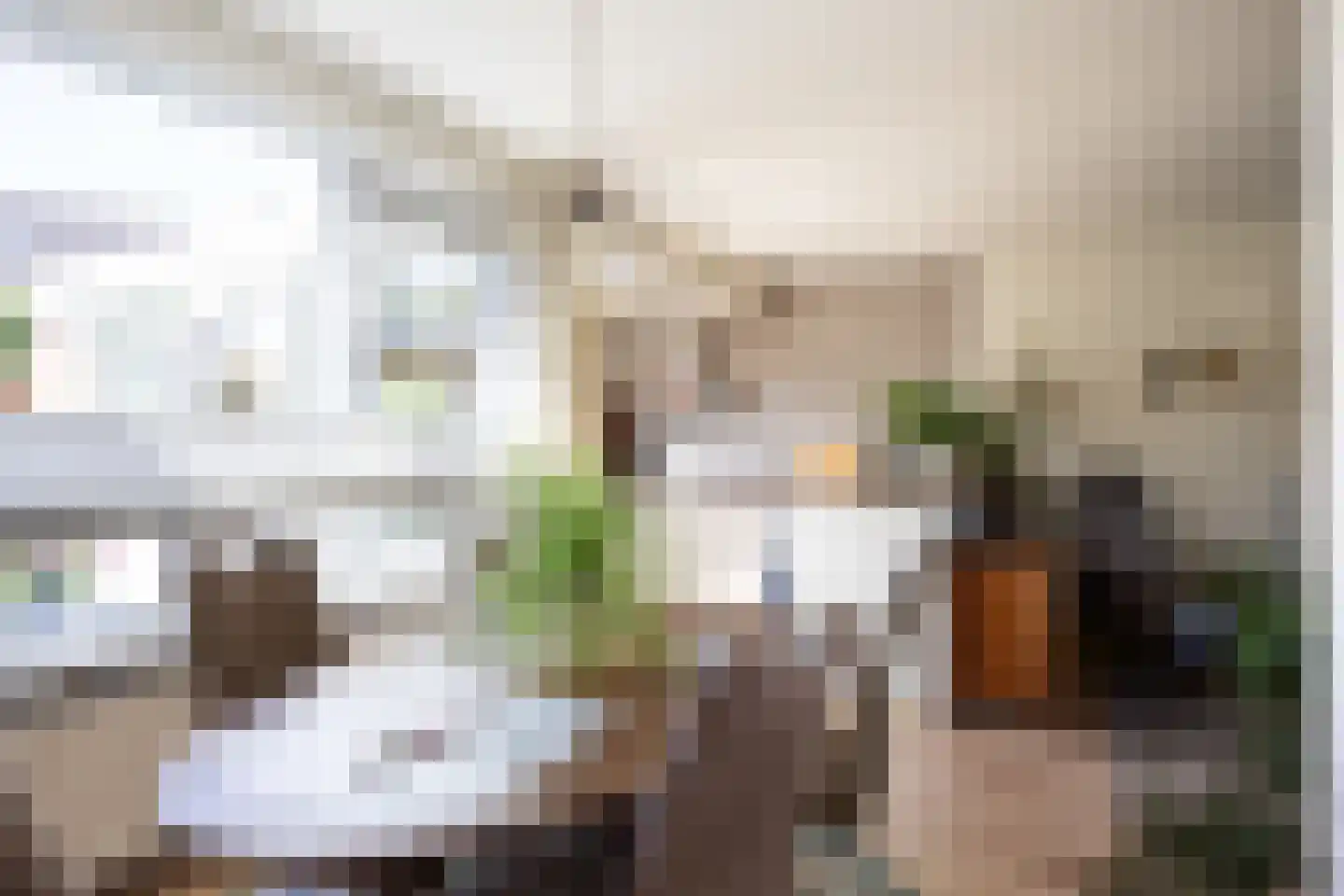 't Veer 14 Leek thumbnail 19