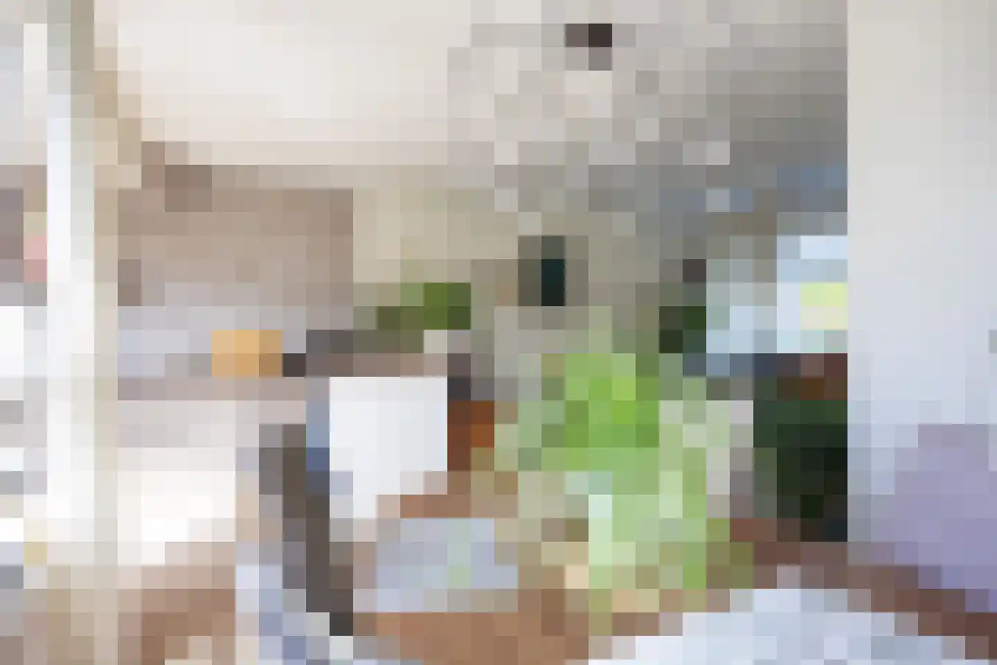 't Veer 14 Leek thumbnail 20