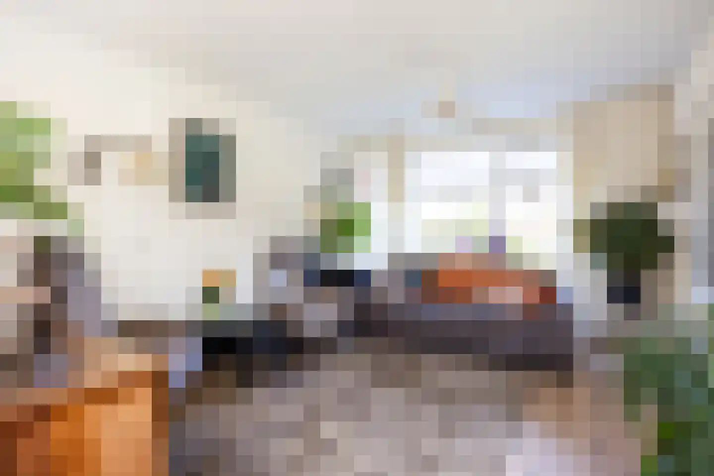 't Veer 14 Leek thumbnail 28