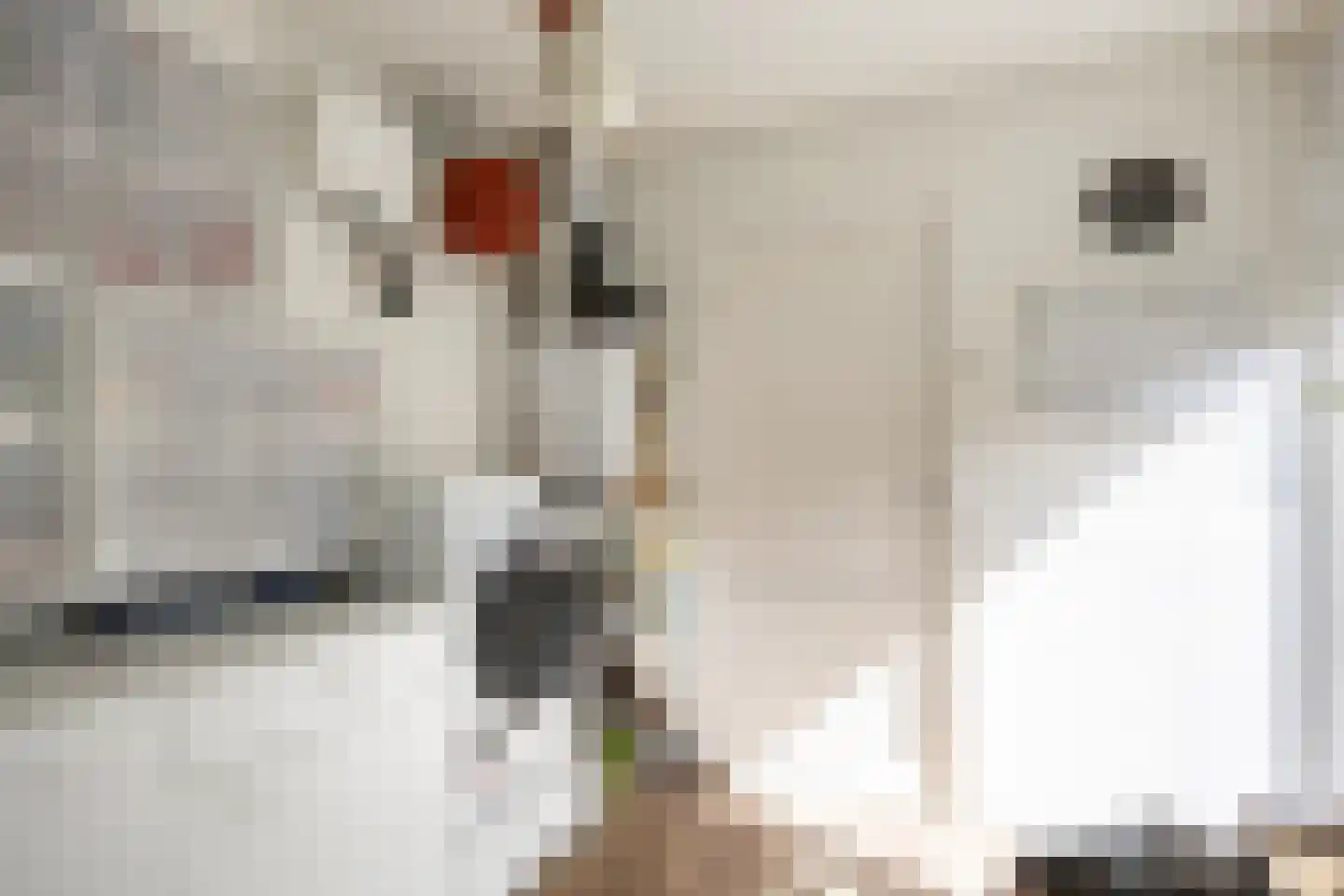 't Veer 14 Leek thumbnail 33
