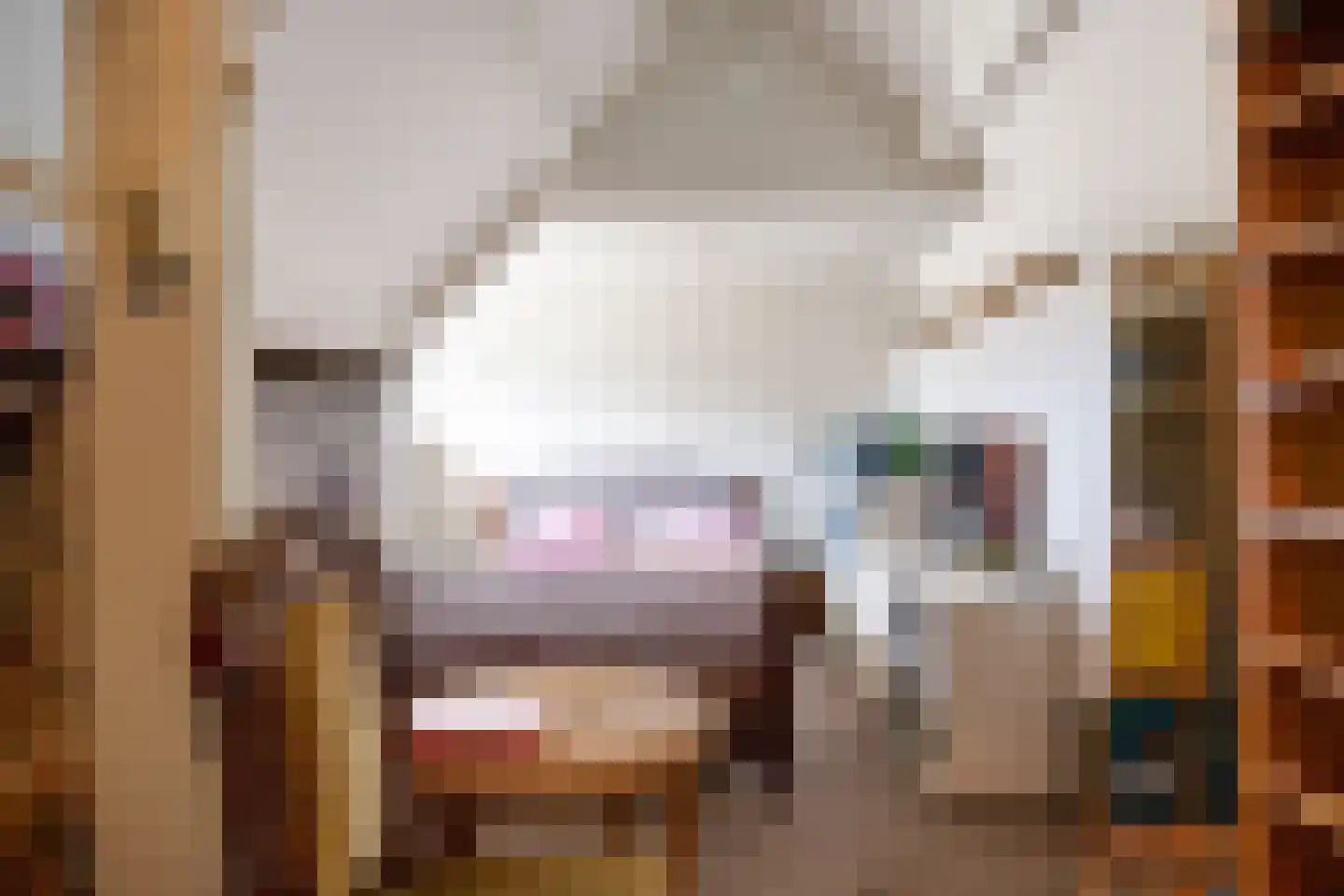 't Veer 14 Leek thumbnail 46